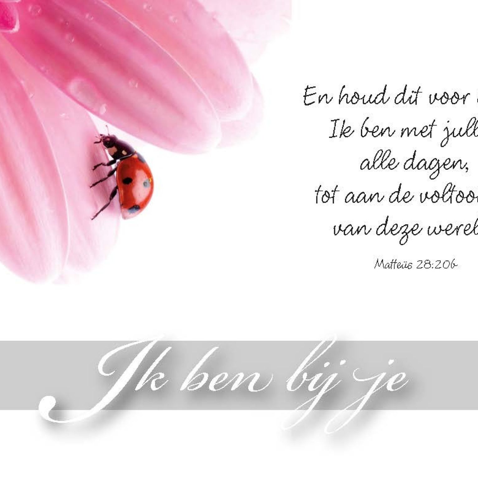 Minikaart Ik ben bij je - 46202 -  Minikaartjes bij MajesticAlly