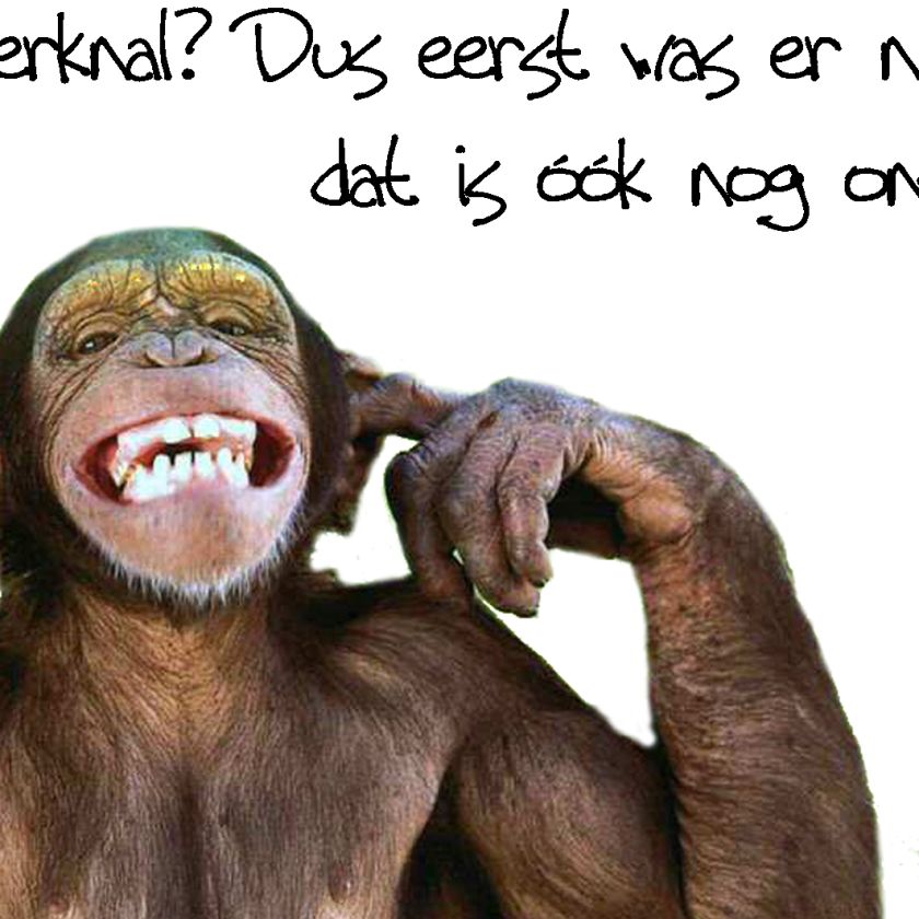 Choice kaartje oerknal? - MA10112 -  Minikaartjes - vierkant bij MajesticAlly