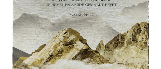 Leisteen MA17714 LR d5d13602