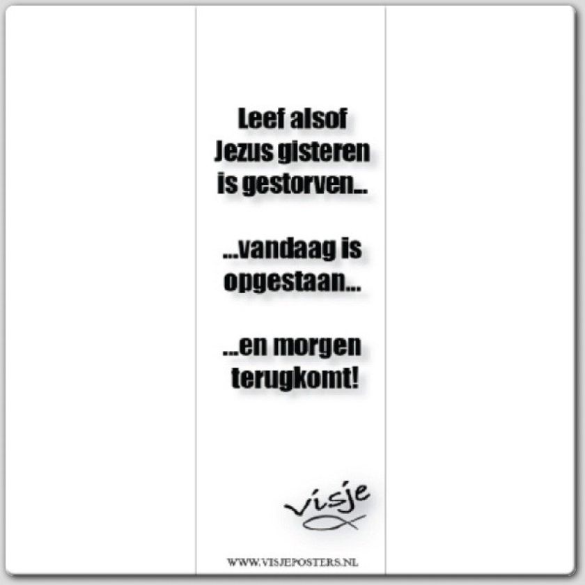 Boekenlegger visje leef alsof Jezus gist - 44877 -  Visje bij MajesticAlly