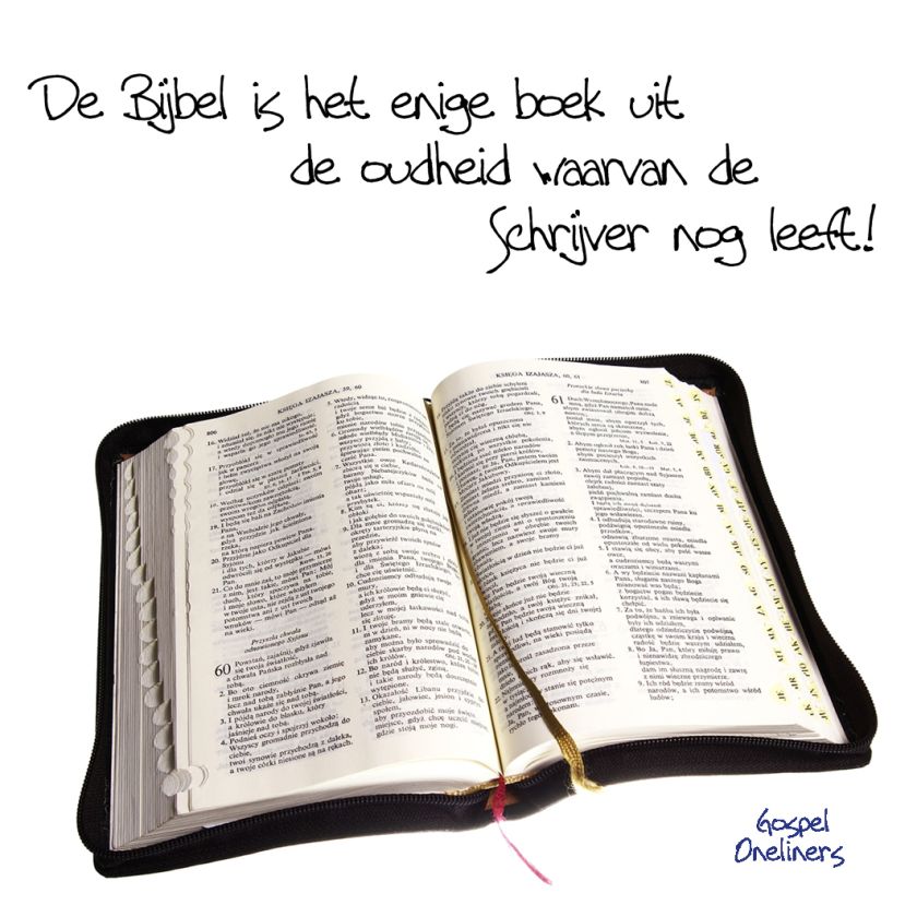 Choice kaartje de bijbel is het enige bo - MA10101 -  Minikaartjes - vierkant bij MajesticAlly