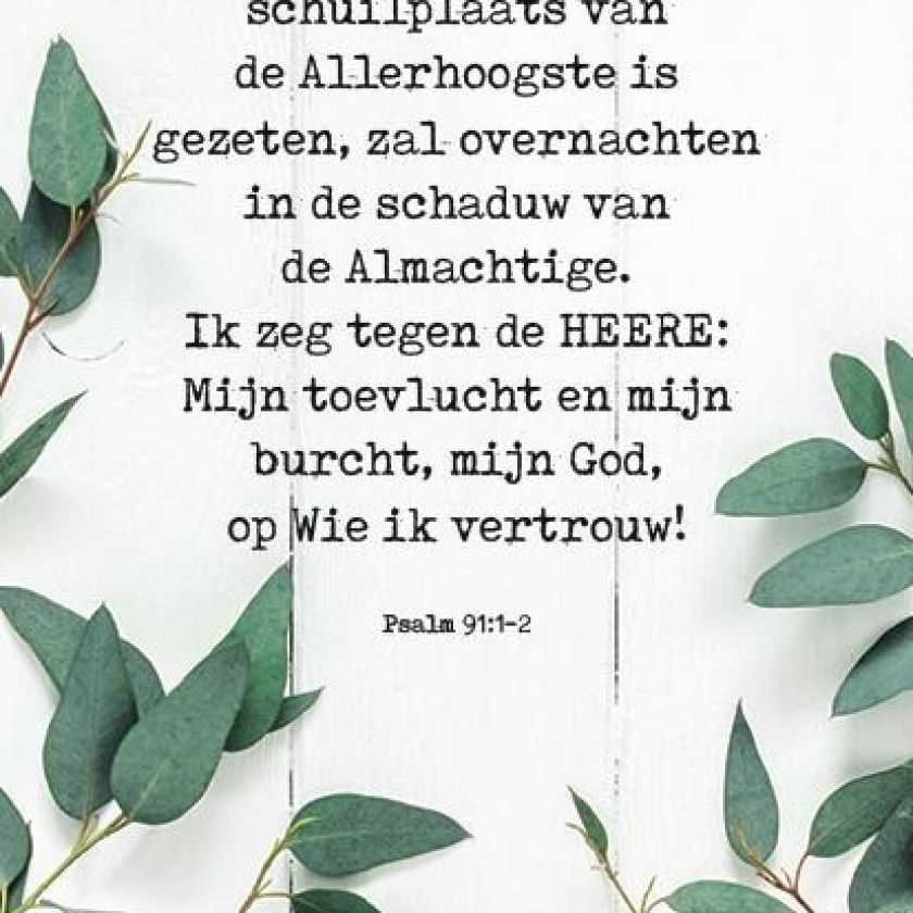 Voordeelkaart 'Wie in de schuilplaats' - MA38025 -  Voordeelkaarten christelijk bij MajesticAlly