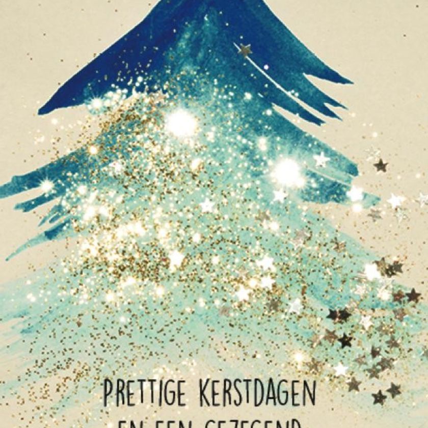 Voordeelpakje kerstkaarten  'Joy 2' - 16 stuks - MA26199 -  Voordeelpakjes kerst bij MajesticAlly