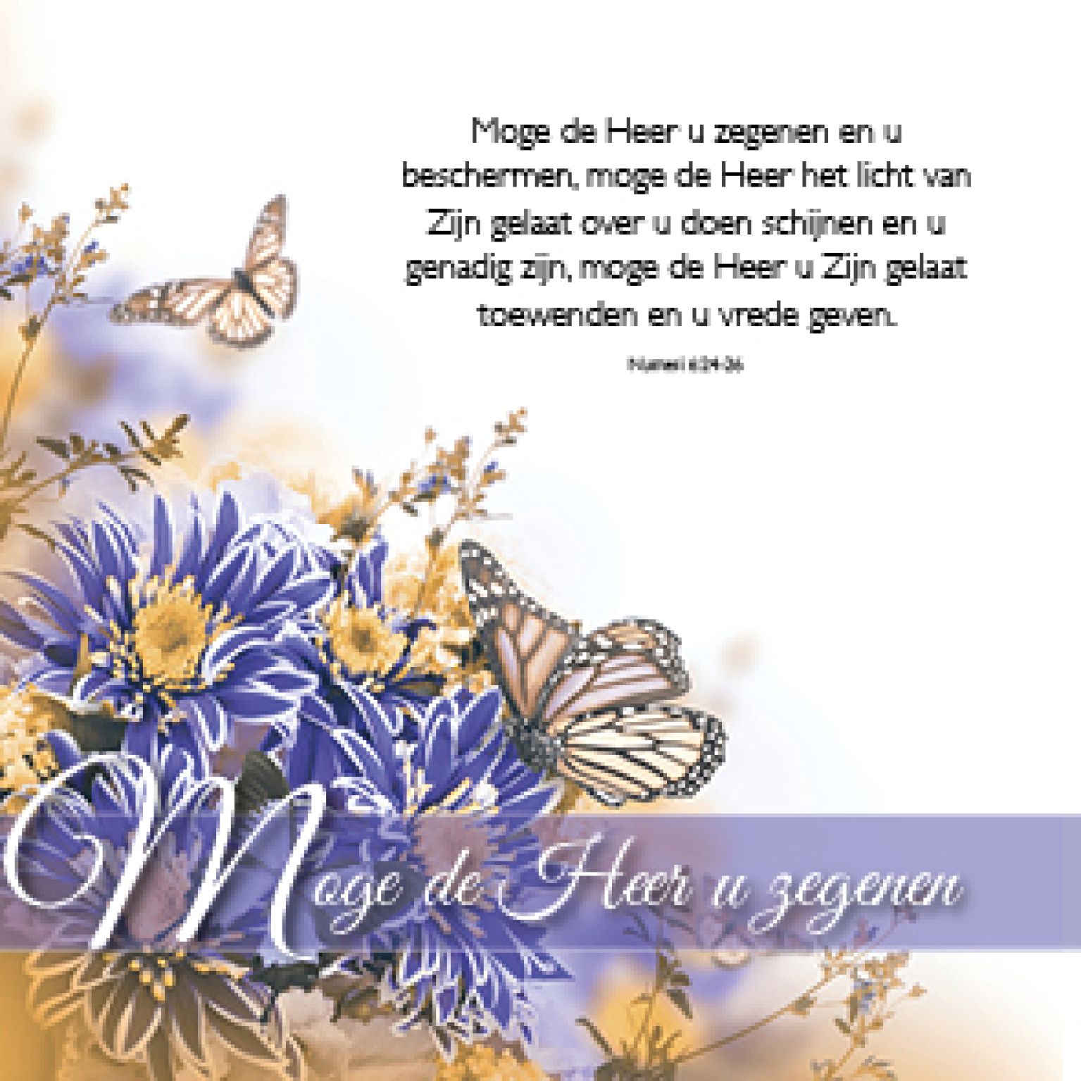 Kadokaartje x12 moge de Heer u zegenen - MA46203xx -  Minikaartjes bij MajesticAlly