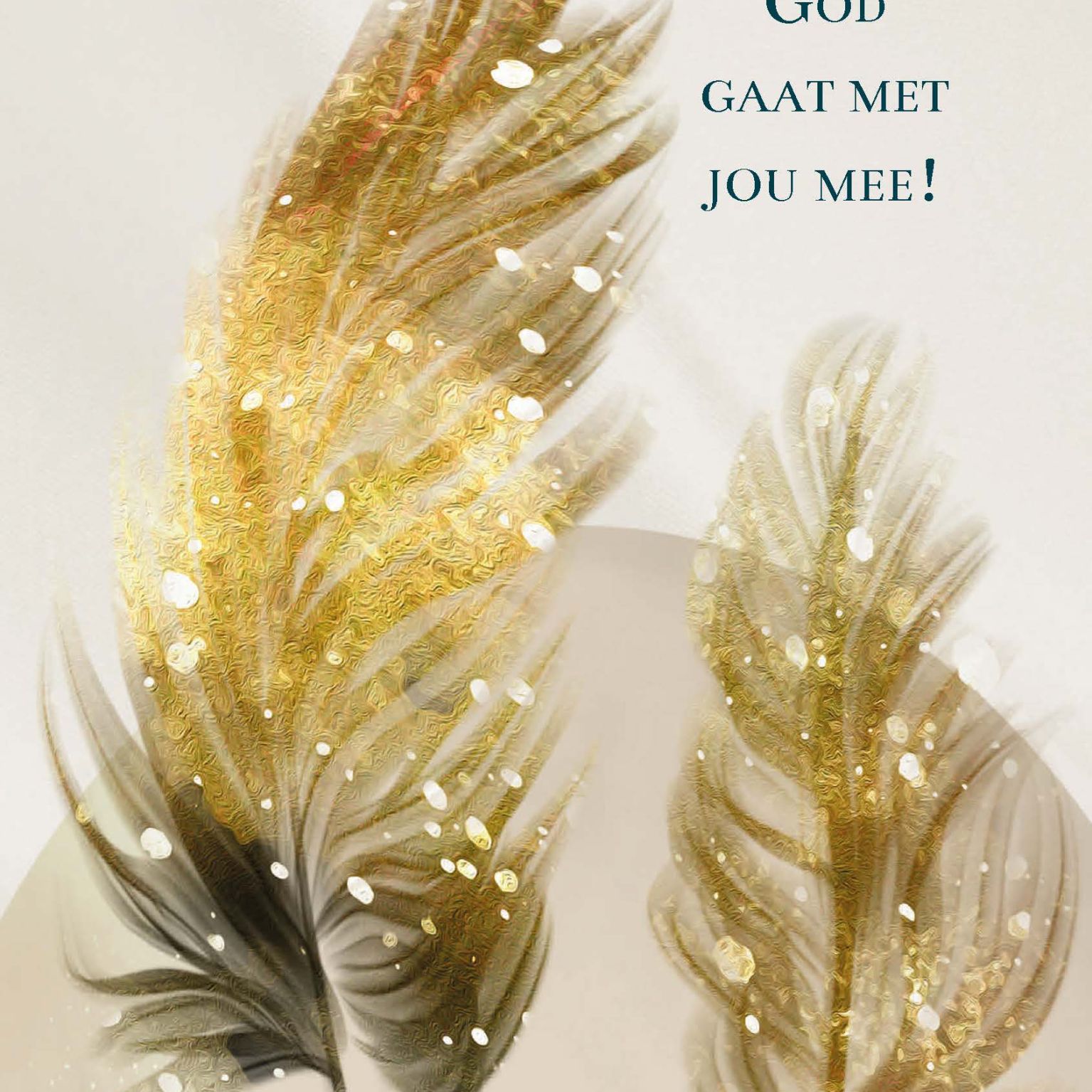 MA55035 - Wenskaart 'God gaat met jou mee'