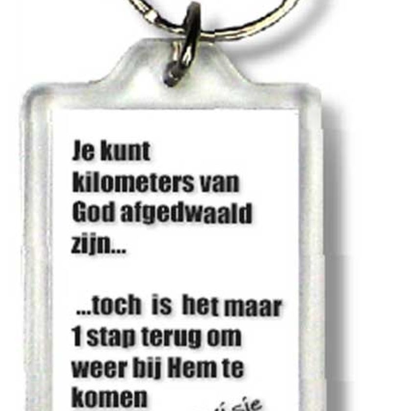 Sleutelhanger visje je kunt kilometers - 44390 -  Visje Sleutelhangers bij MajesticAlly