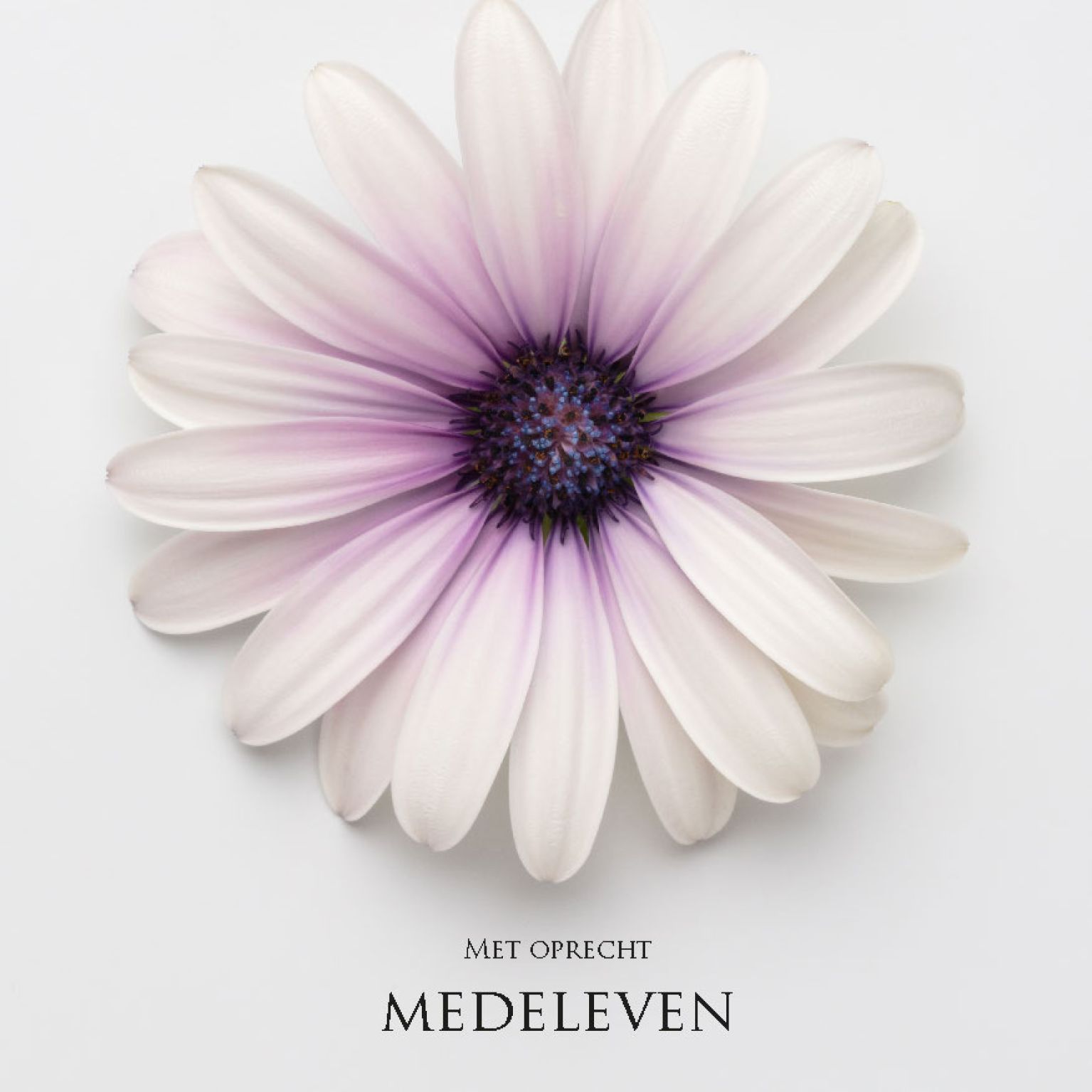 MA34114 - Vierkante wenskaart 'Met oprecht medeleven'