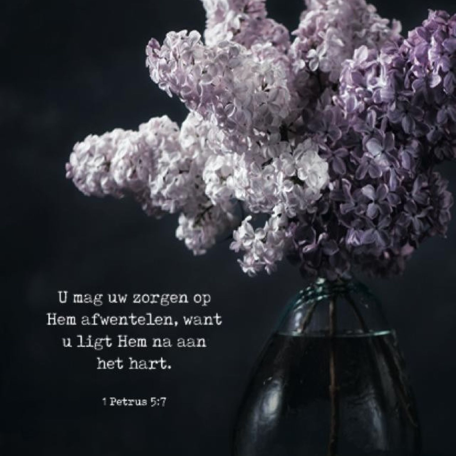 Poster A4 'U mag uw zorgen op Hem afwentelen' - MA37121 -  Posters A4 bij MajesticAlly