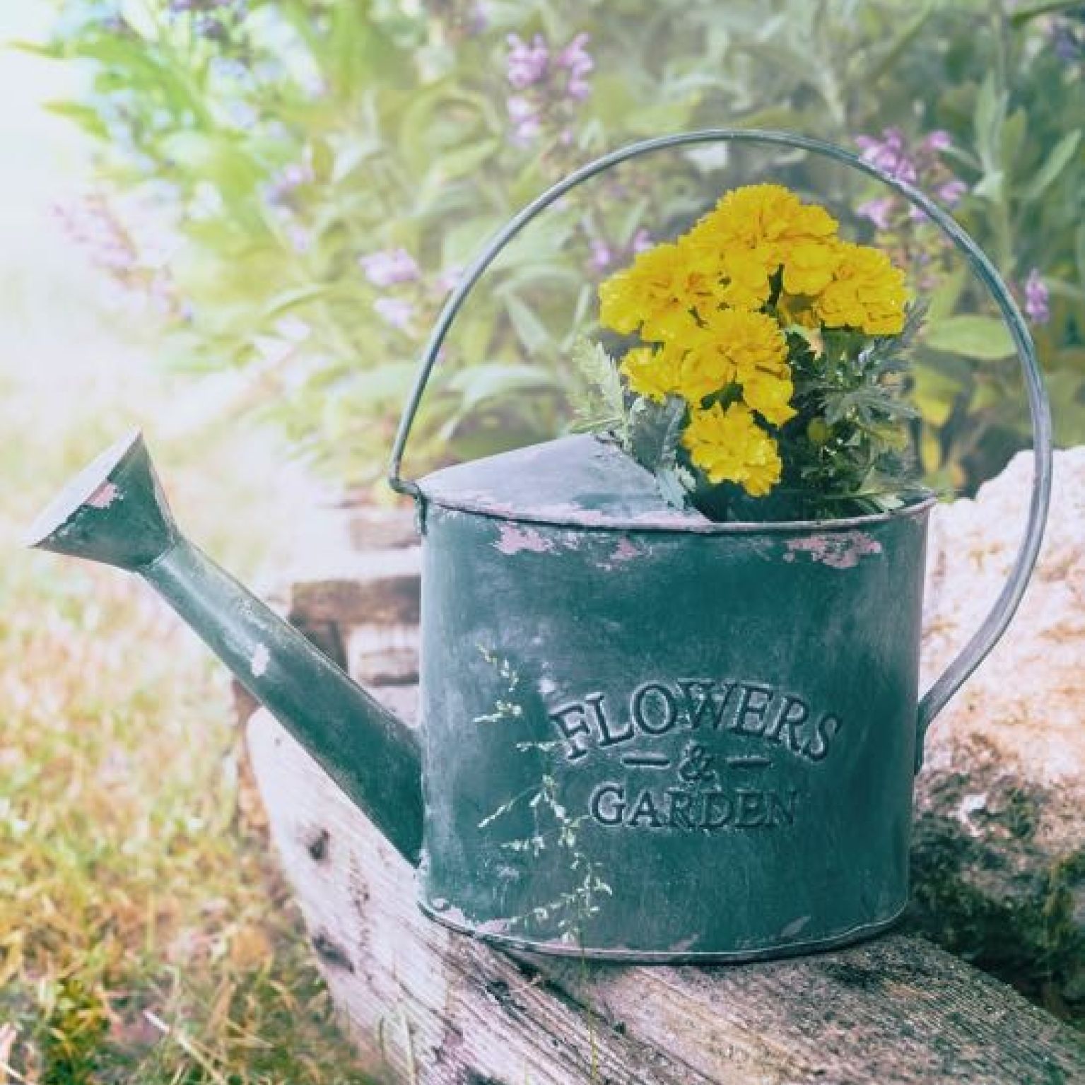 Kaart 'Gieter groen' - MA40003 -  Landelijk bij MajesticAlly