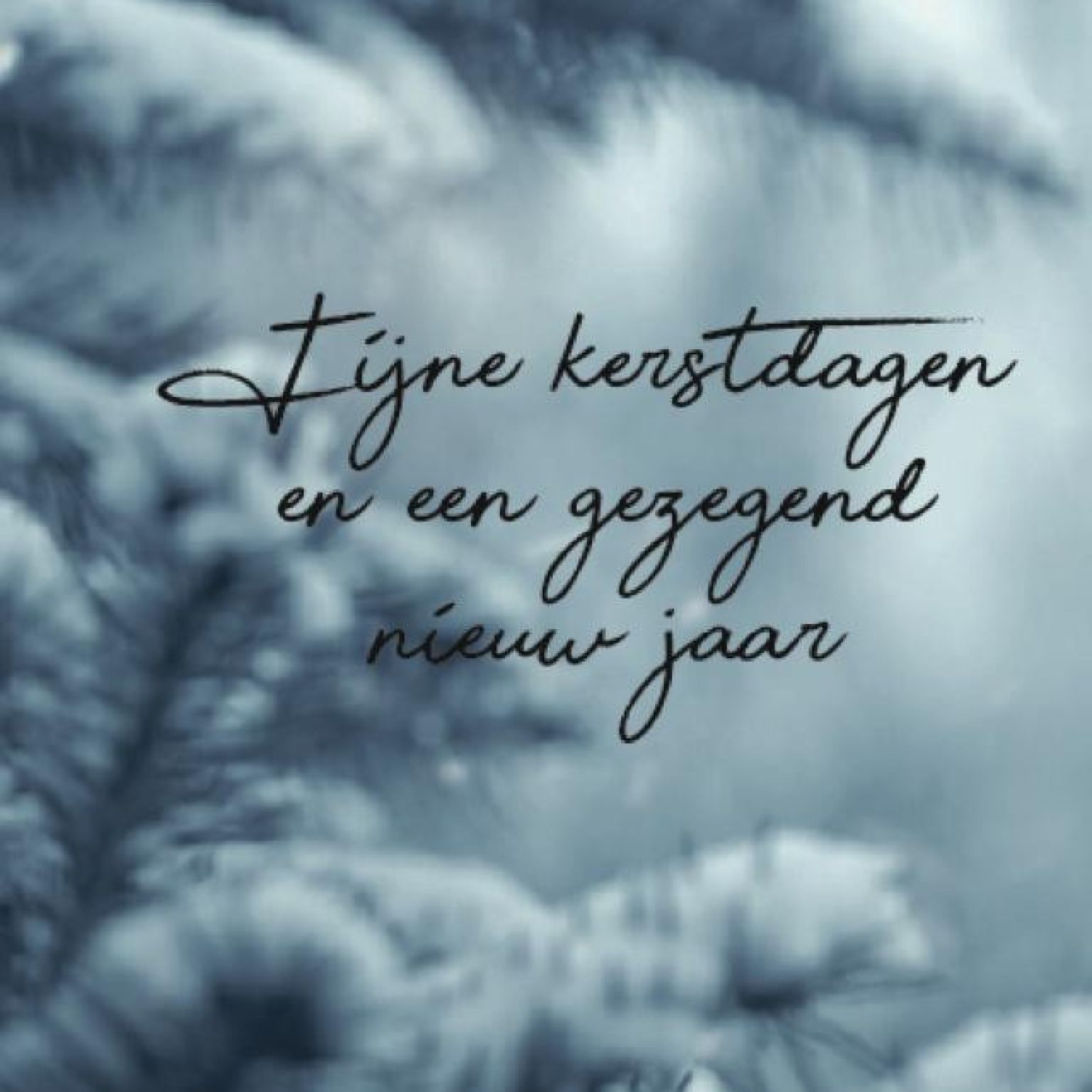 Kerstkaart 'Wintertakken' - MA26212 -  Christelijke kerstkaarten bij MajesticAlly