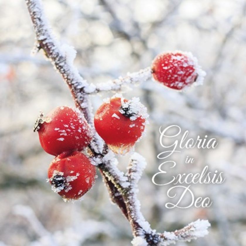 Voordeelpakje kerstkaarten 'Lifestyle 2' - 6 stuks - MA26054 -  Voordeelpakjes kerst bij MajesticAlly