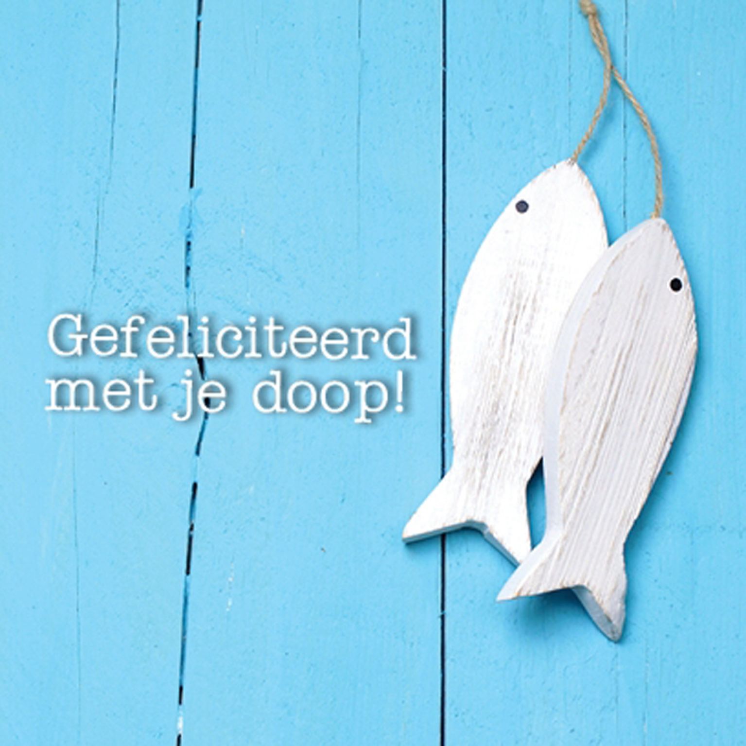 Kaart 'Doop - twee visjes' - MA12039 -  Lifestyle bij MajesticAlly