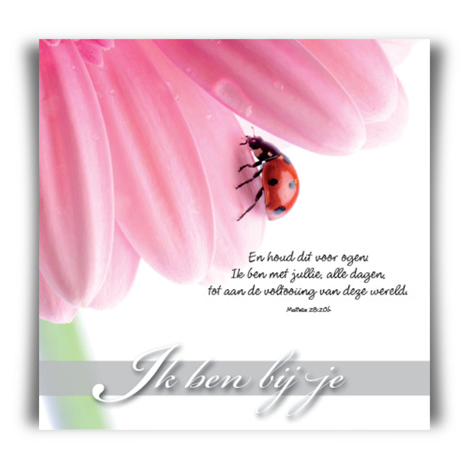 Prentbriefkaart 'Ik ben bij je' - 46102 -  Bemoediging