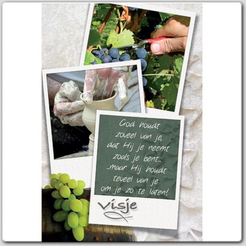 * Voordeelpakket 20 Visje wenskaarten - 46925 -  Pakjes kaarten bij MajesticAlly