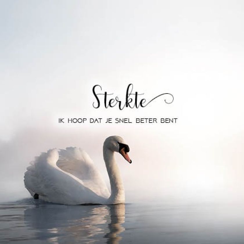 Kaart 'Sterkte, snel beter - zwaan' - MA34004 -  Stille momenten bij MajesticAlly