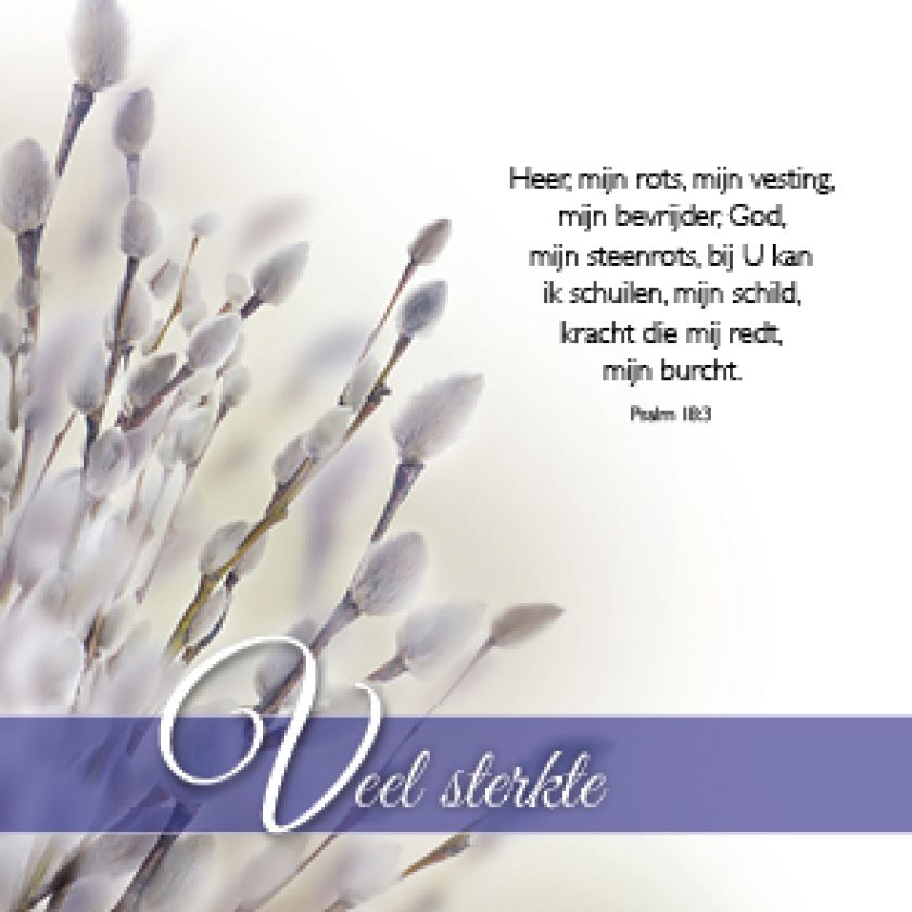 Kadokaartje x12 veel sterkte - MA46214xx -  Minikaartjes bij MajesticAlly