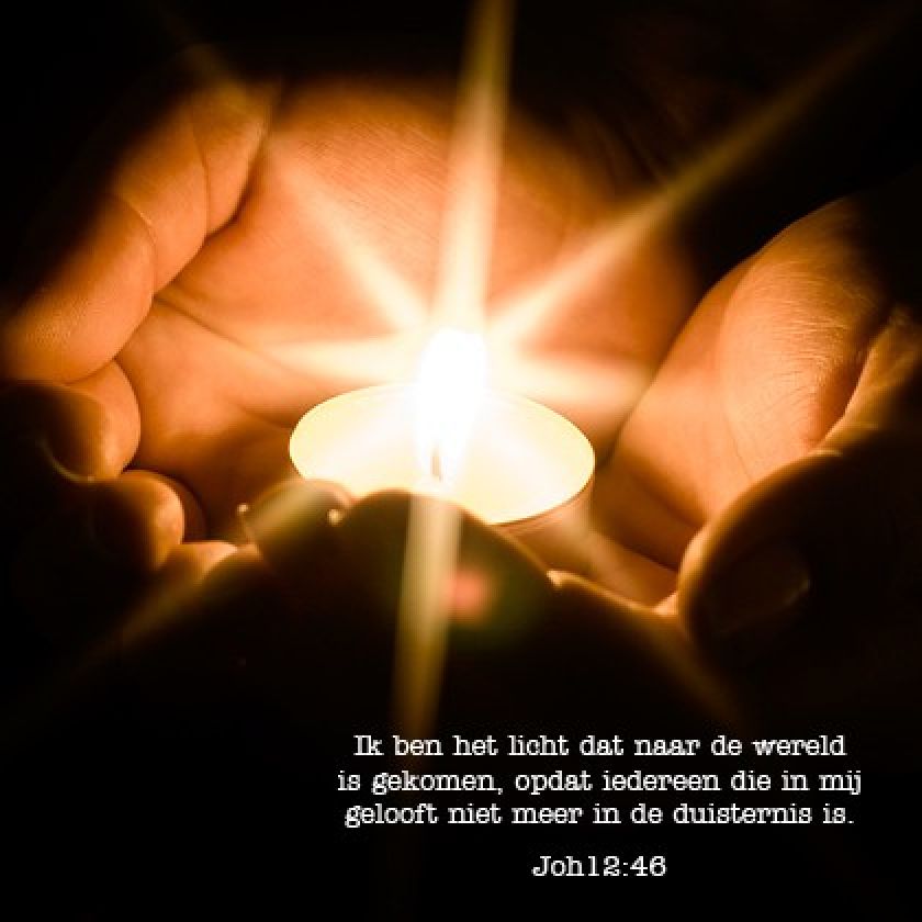 Voordeelpakje kerstkaarten 'Lifestyle 1' - 6 stuks - MA26053 -  Voordeelpakjes kerst bij MajesticAlly