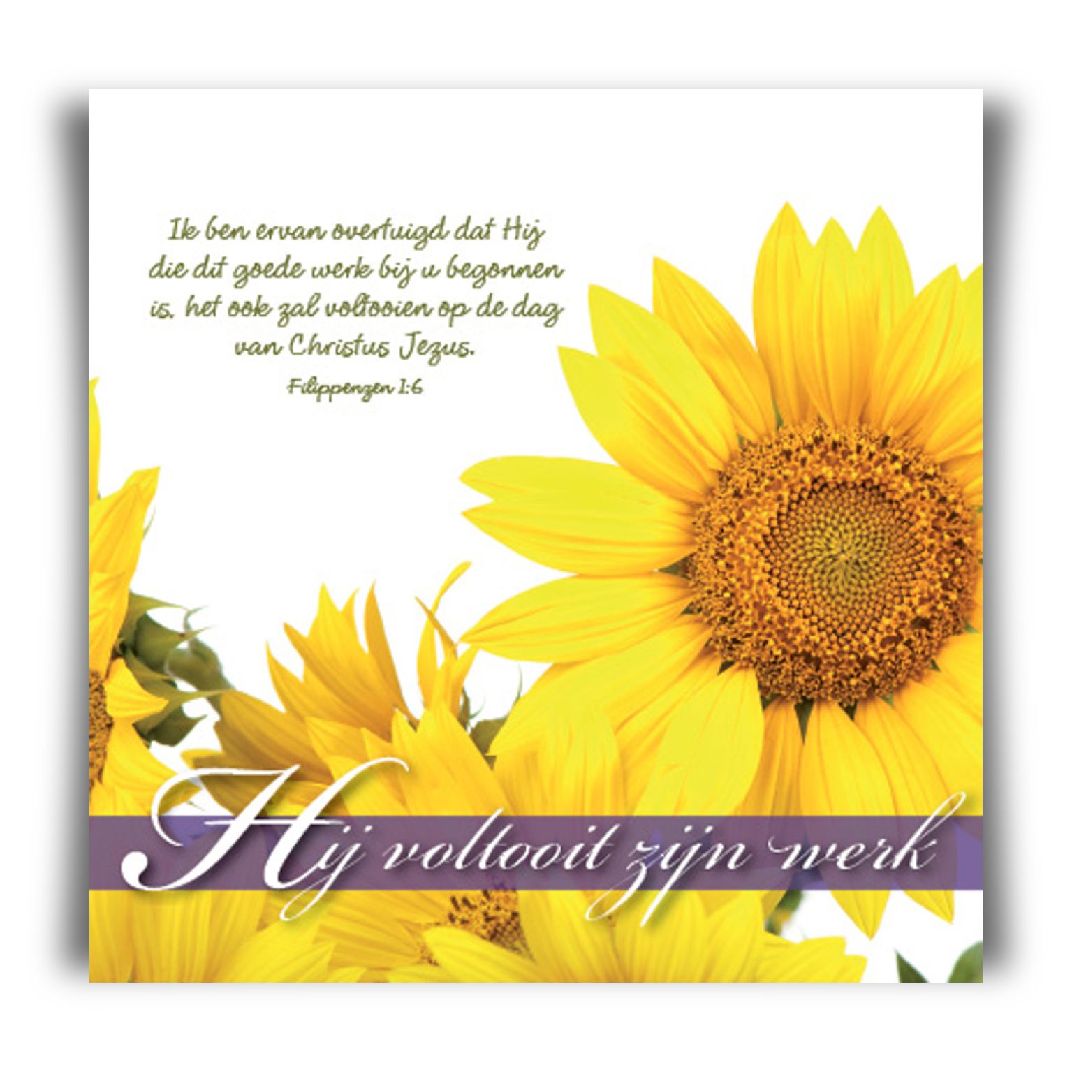 Prentbriefkaart 'Hij voltooit zijn werk'