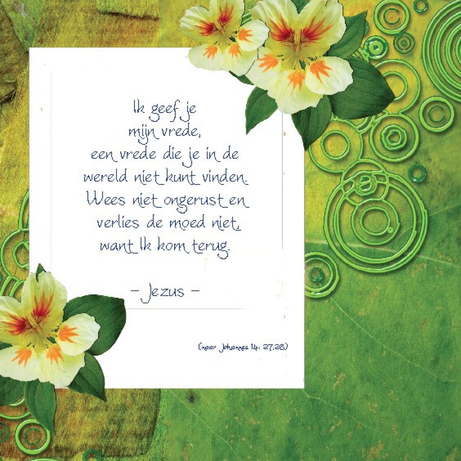 Choice kaartje Ik geef je mijn vrede - 42023 -  Minikaartjes - vierkant bij MajesticAlly