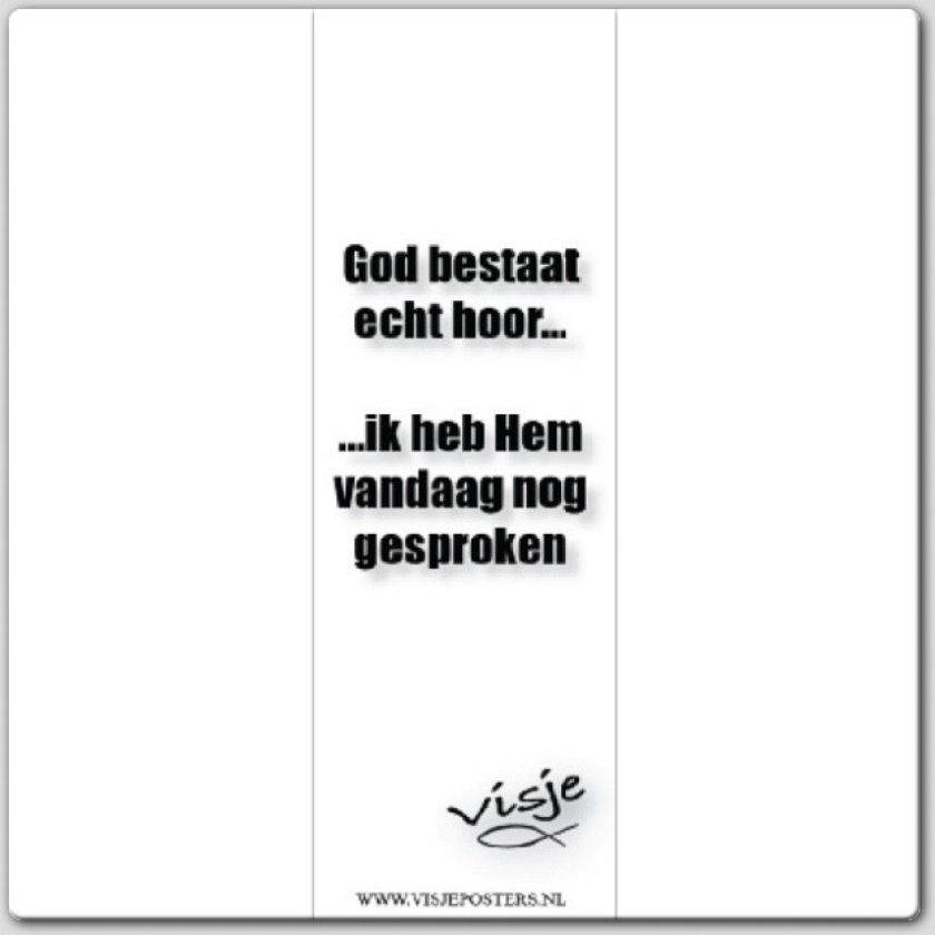 Boekenlegger visje God bestaat echt hoor - 44860 -  Visje bij MajesticAlly