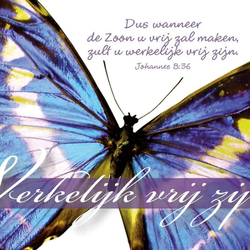 Minikaart werkelijk vrij zijn - 46221 -  Minikaartjes bij MajesticAlly