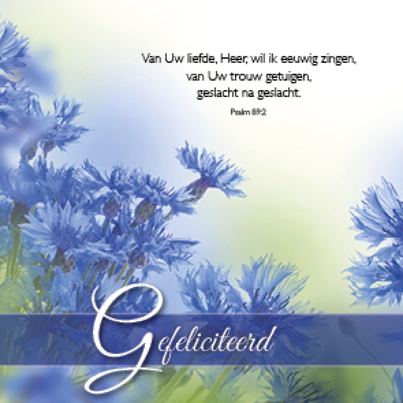 Kadokaartje gefeliciteerd - MA46212 -  Cadeaukaartjes bij MajesticAlly