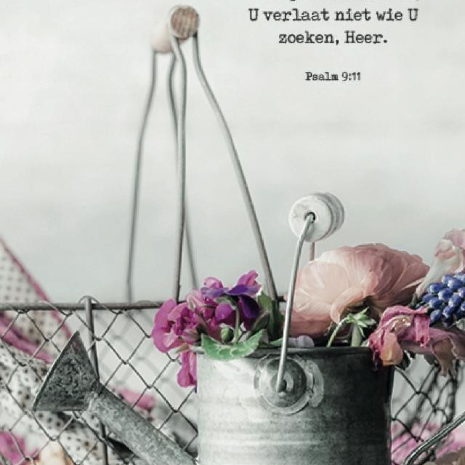 Poster A4 'Wie Uw naam kent' - MA37104 -  Posters A4 bij MajesticAlly