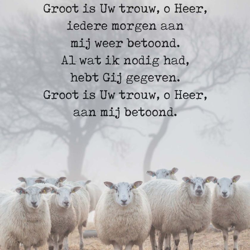 Poster A4  Groot is Uw trouw - Opwekking 123 - 552685P -  Posters bij MajesticAlly