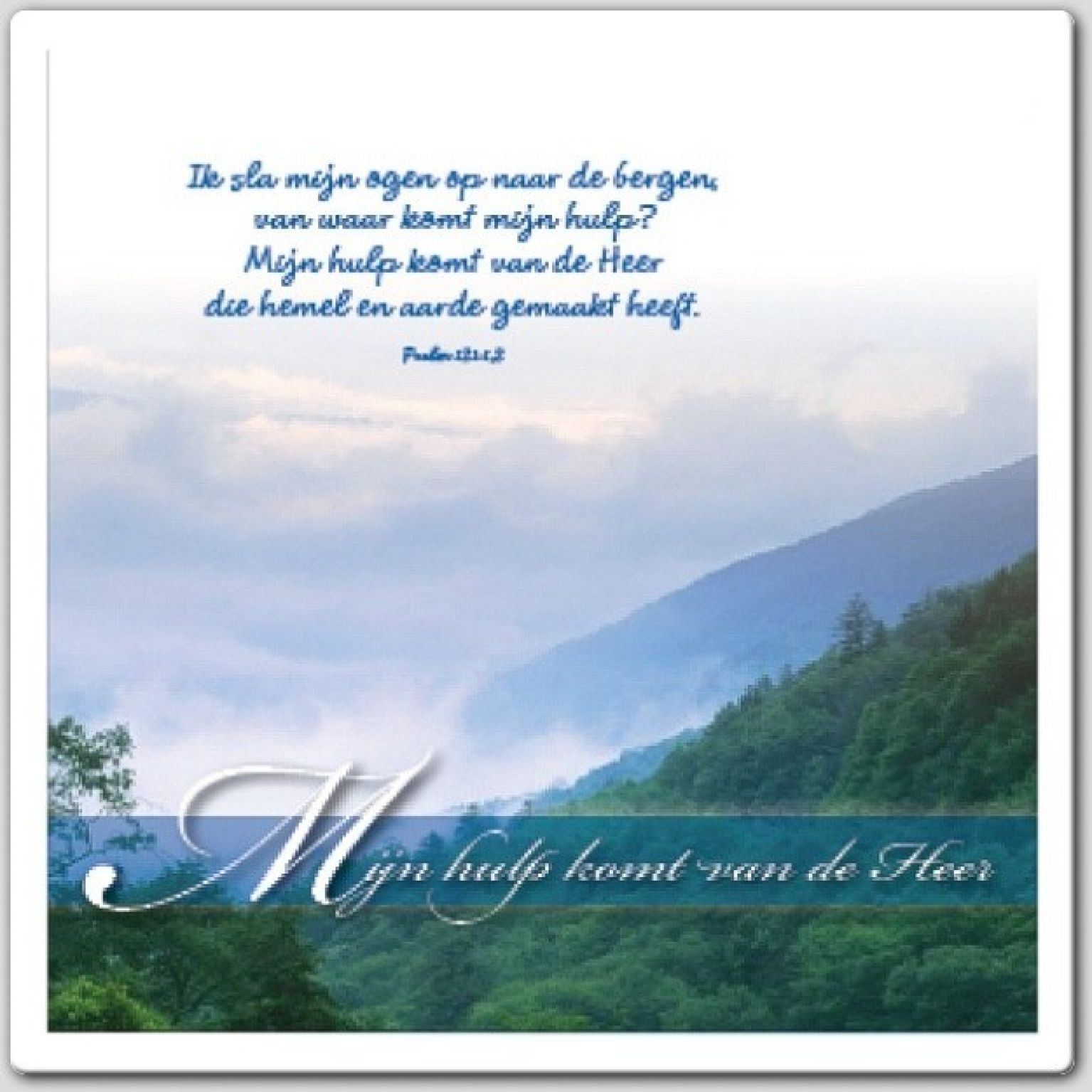 Voordeelpakket 25 Square Prentbriefkaarten - MA46251 -  Voordeelpakjes bij MajesticAlly