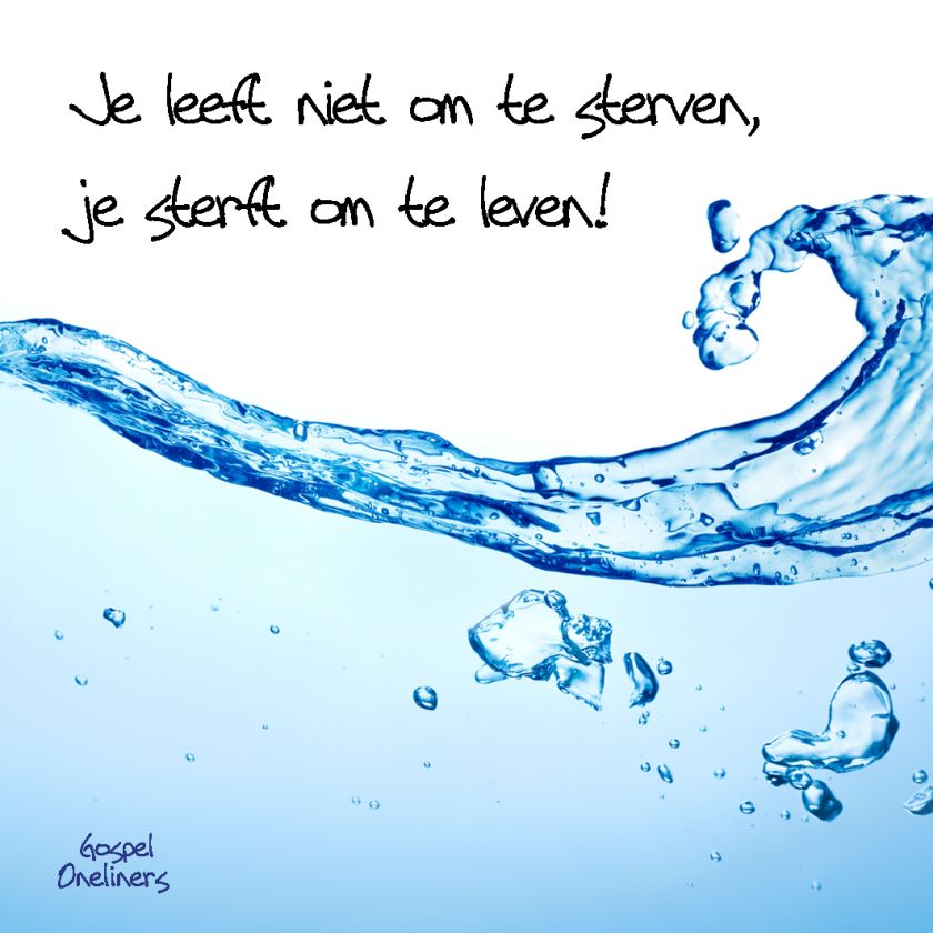 Choice kaartje je leeft niet om te sterv - MA10107 -  Minikaartjes - vierkant bij MajesticAlly