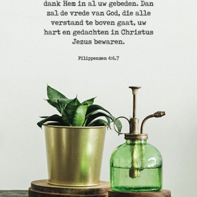 Poster A4 'Wees over niets bezorgd' - MA37102 -  Posters A4 bij MajesticAlly