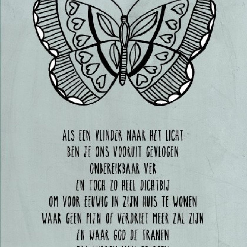 Meeleven (vlinder) - 552799 -  Sterkte & Deelneming bij MajesticAlly