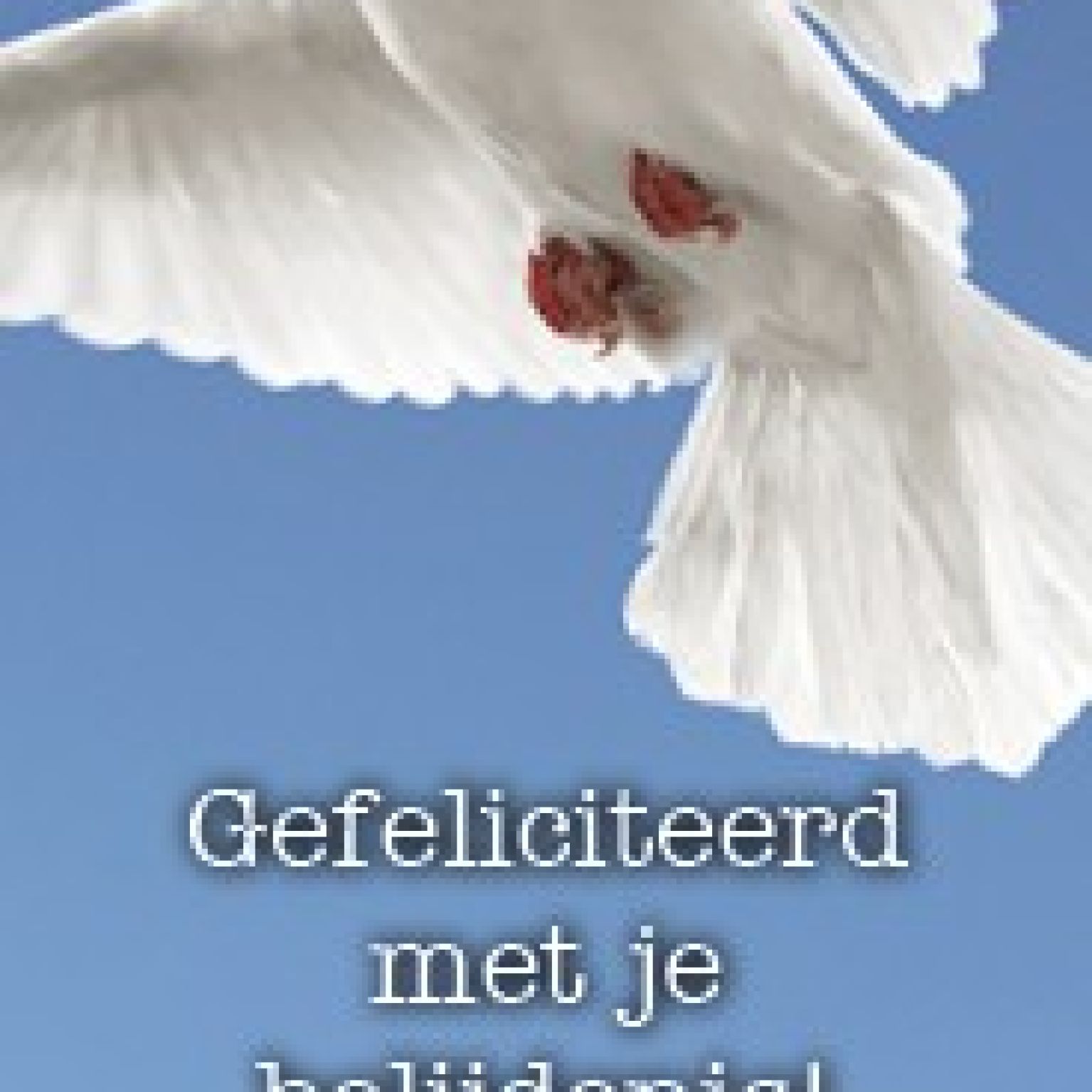 Boekenlegger gef belijdenis duif - MA15111 -  Lifestyle  bij MajesticAlly