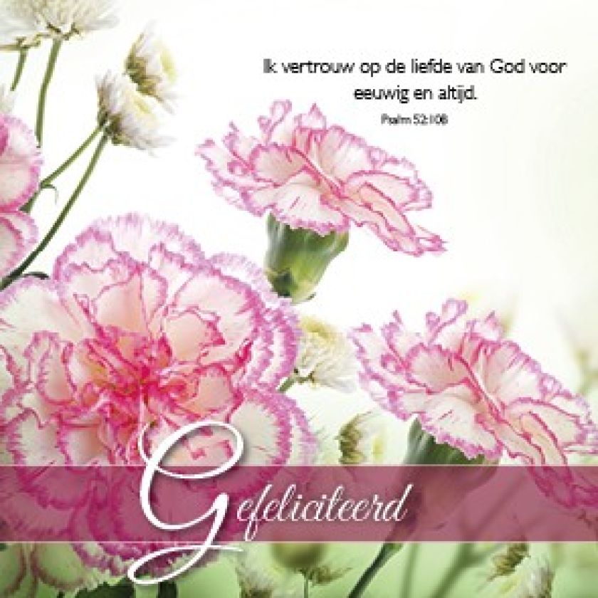 Voordeelpakket 24 kaarten Blessings - MA46250 -  Voordeelpakjes bij MajesticAlly
