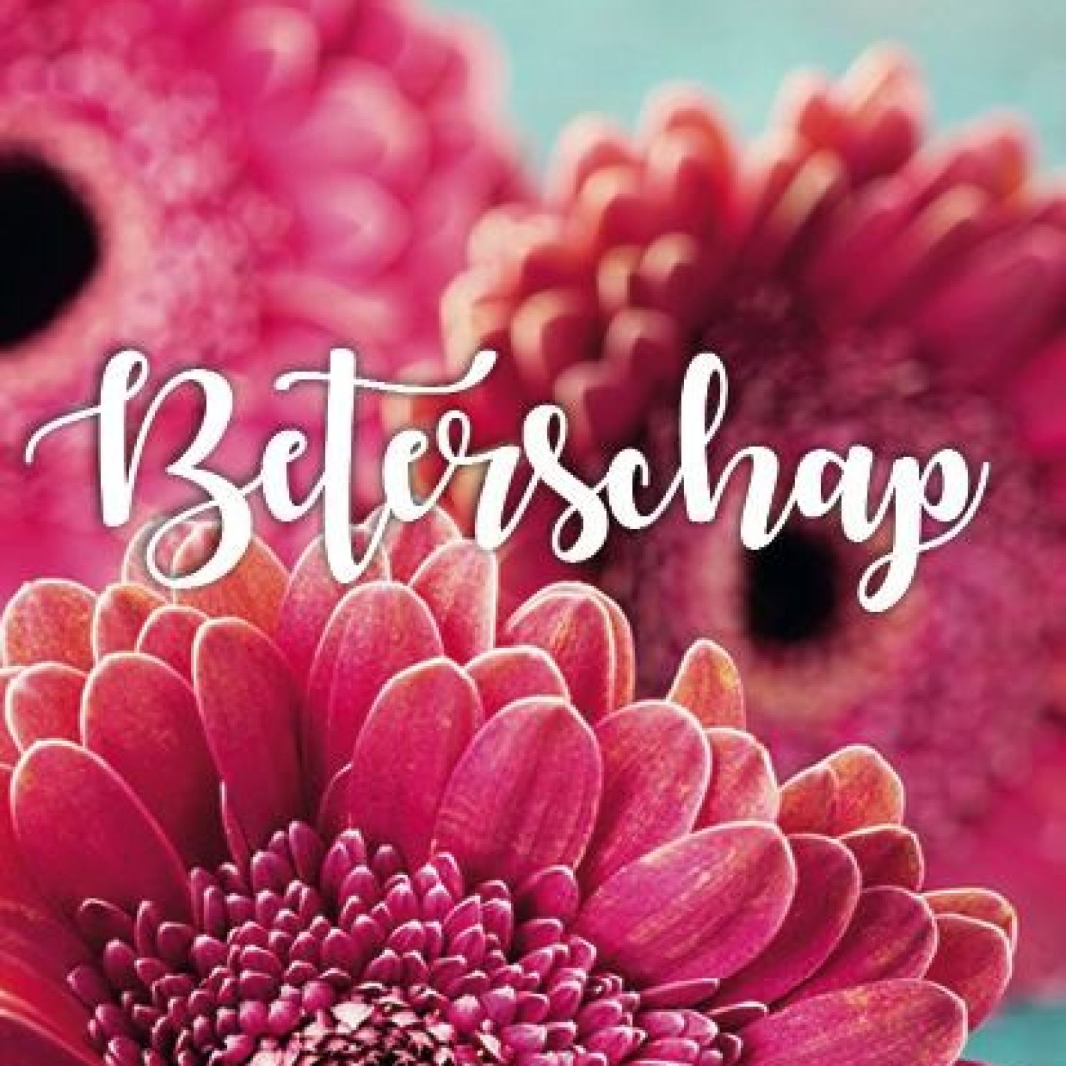 Voordeelkaart 'Beterschap - rose bloemen' - MA38009 -  Voordeelkaarten neutraal bij MajesticAlly