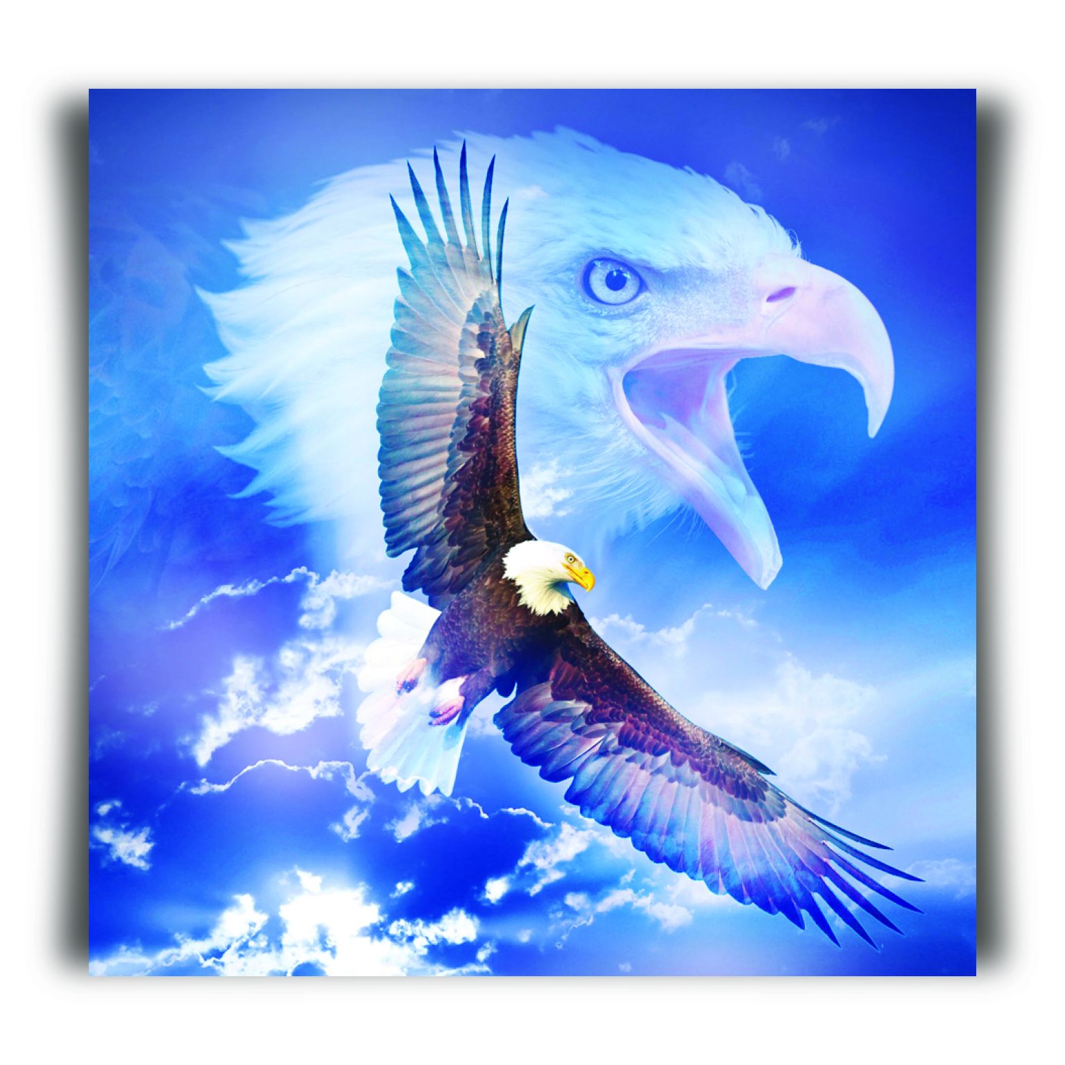 Choice kaartje arend - MA11210 -  Minikaartjes - vierkant bij MajesticAlly