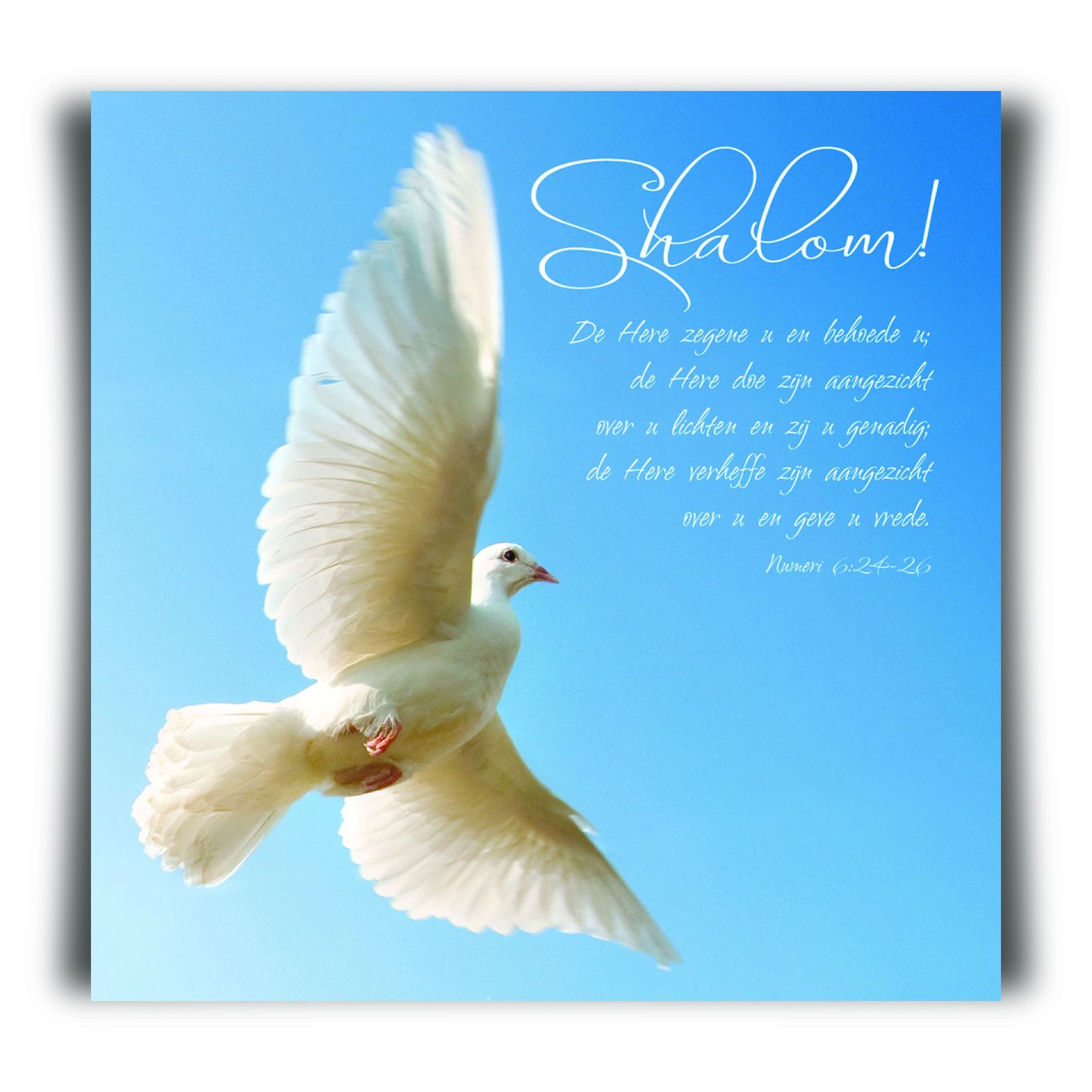 Choice kaartje shalom - MA11214 -  Minikaartjes - vierkant bij MajesticAlly