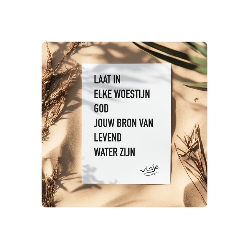 V16008 Visje Cadeaubordjes 15x15 Woestijn bron f36a5dda