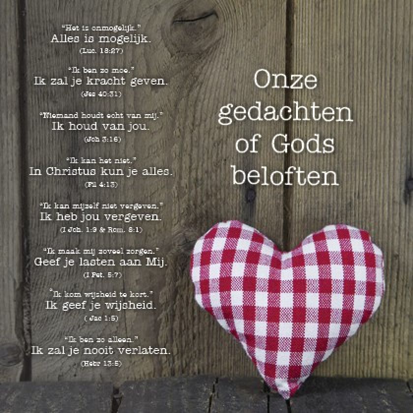 * Voordeelpakket Lifestyle  - 36 kaarten - MA12200 -  Pakjes kaarten bij MajesticAlly