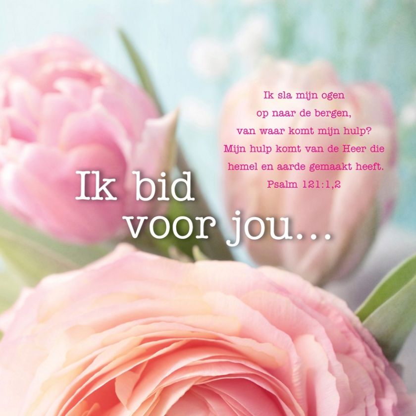 * Voordeelpakket Lifestyle  - 36 kaarten - MA12200 -  Pakjes kaarten bij MajesticAlly