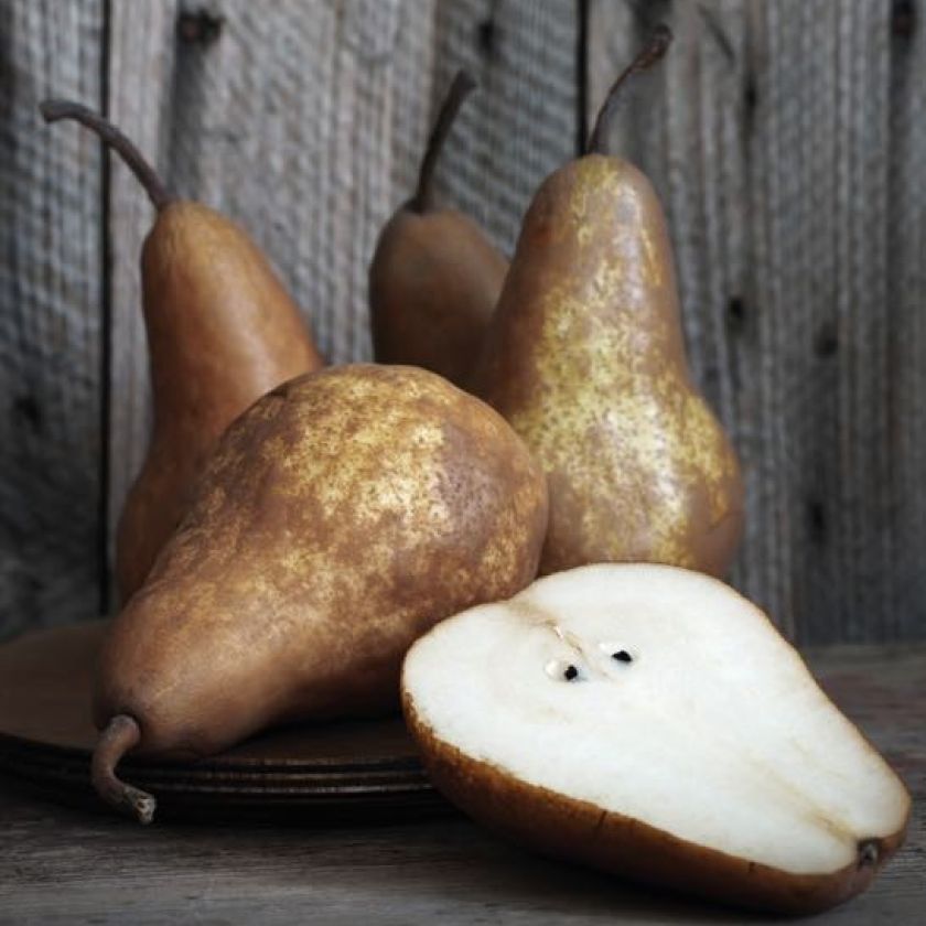 Kaart 'Peren' - MA40031 -  Landelijk bij MajesticAlly