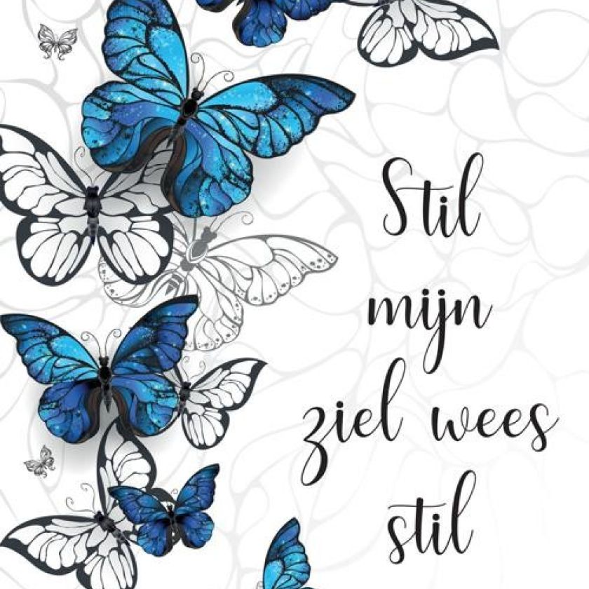 Poster A4 'Stil mijn ziel' - MA33526 -  Posters A4 bij MajesticAlly