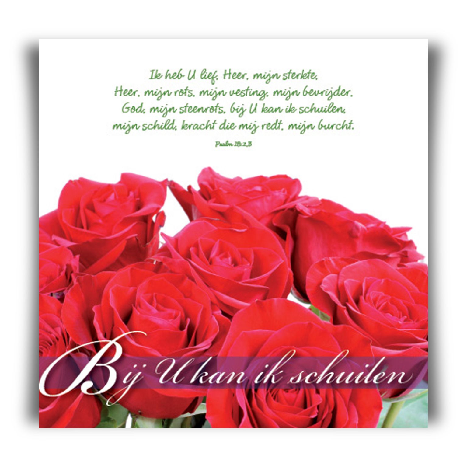 Prentbriefkaart 'Bij U kan ik schuilen'