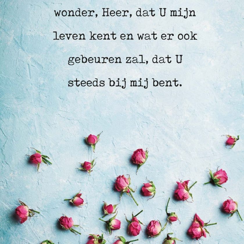 Opwekking 518 - 552676 -  Opwekking bij MajesticAlly